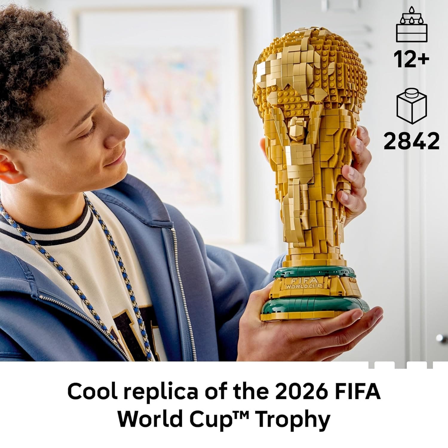 مجموعة تجميع كأس العالم لكرة القدم